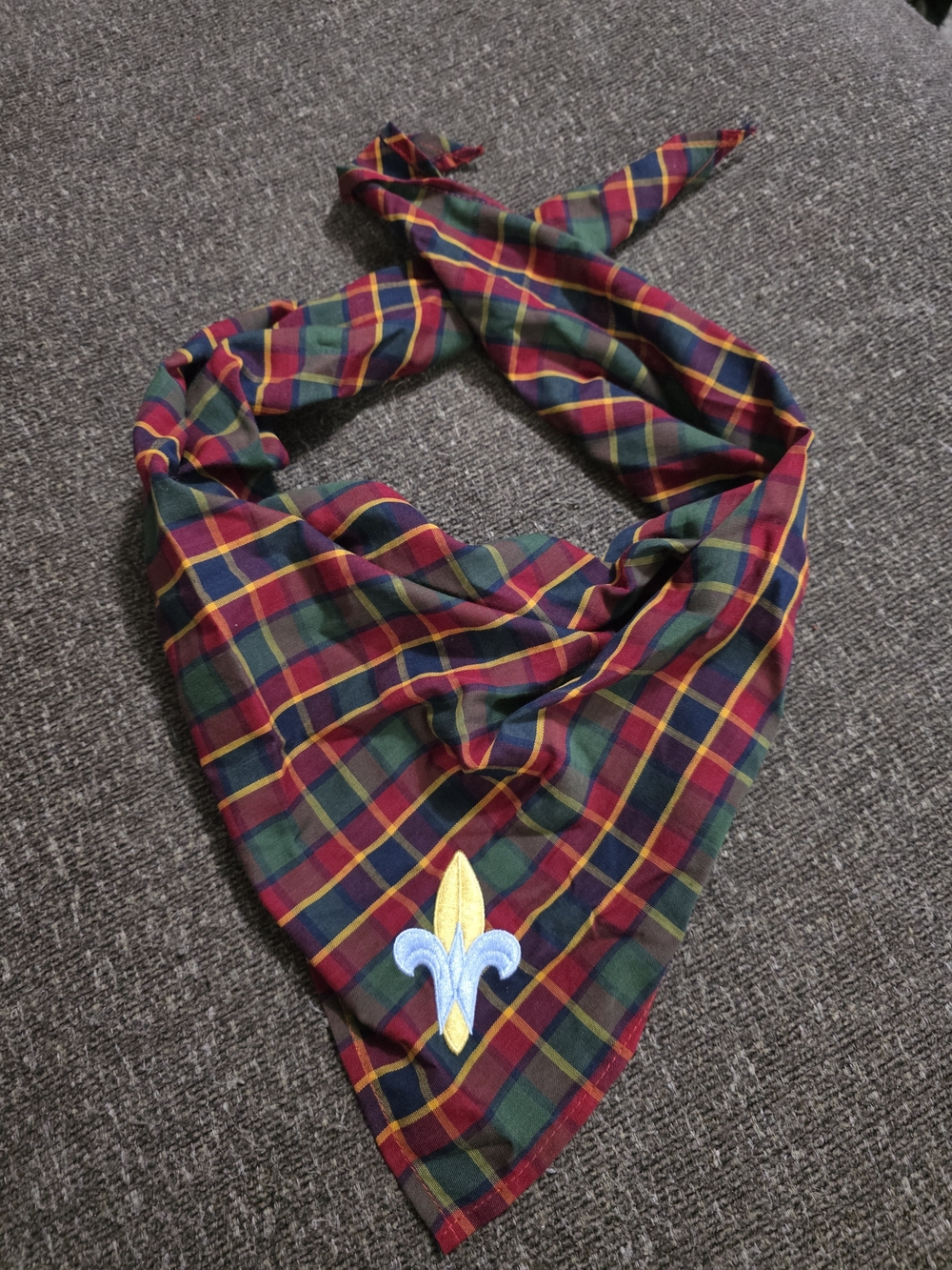 Webelos Rank Neckerchief, Slide, And Pin